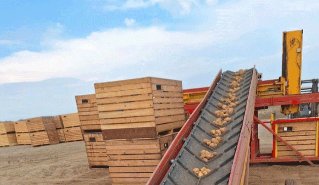 Podravka Agri Expands Potato Production in Croatia Following Supply Deal with Snack Maker Kanaan