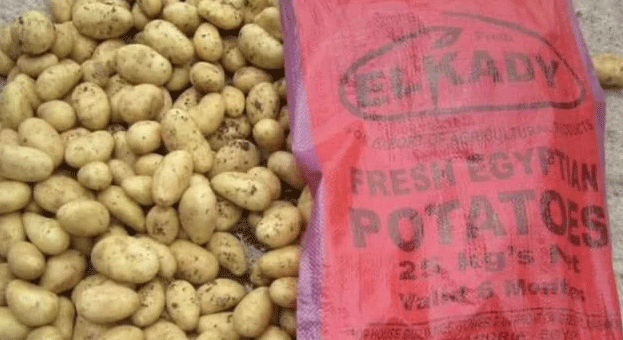 Egyptian Potato Imports Under Fire: Phytosanitary Risks and the Battle for Food Security 29 Egyptian Potato Imports Under Fire: Phytosanitary Risks and the Battle for Food Security
