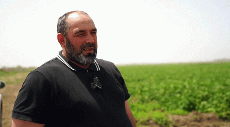 Potato Shortage Crisis: Weather, Seed Scarcity, and Global Market Pressures Threaten Farmers