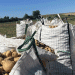 Potato Market Crisis: Low Prices, Rising Competition, and the Risk of Farmer Panic