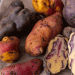 From the Andes to the Snack Aisle: Native Potato Cooperatives in Peru Strike Major Industry Deal