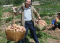 From Humble Spud to Golden Treasure: How a 60-Year Potato Research Station Transformed Agriculture in Northwest China