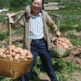 From Humble Spud to Golden Treasure: How a 60-Year Potato Research Station Transformed Agriculture in Northwest China