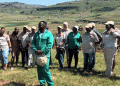 Empowering Farmers for Sustainable Growth: The Potatoes SA Enterprise Development Program