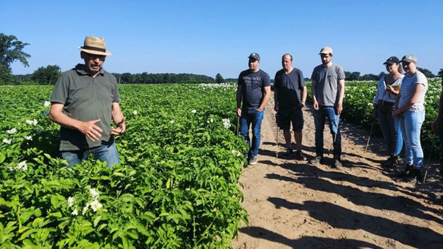 Become a Certified Potato Expert: DKHV Opens Registration for "Fachkraft Kartoffel 2025" Training Program 19 Become a Certified Potato Expert: DKHV Opens Registration for “Fachkraft Kartoffel 2025” Training Program