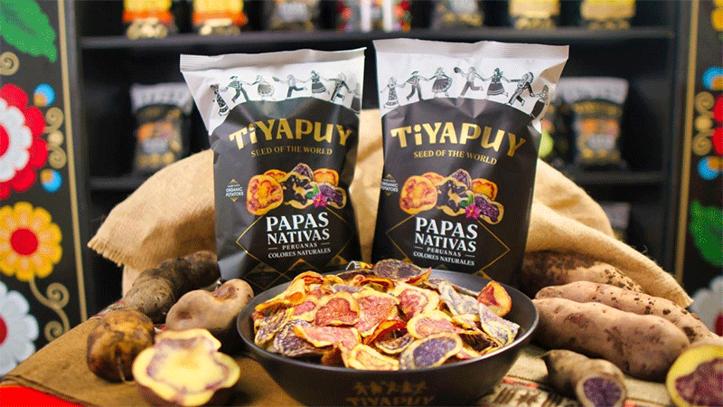La revolución silenciosa de las papas nativas: cómo Tiyapuy está transformando la agricultura peruana y los mercados mundiales de snacks