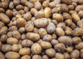 Brazil’s Potato Price Plunge: Regional Impacts and Market Dynamics