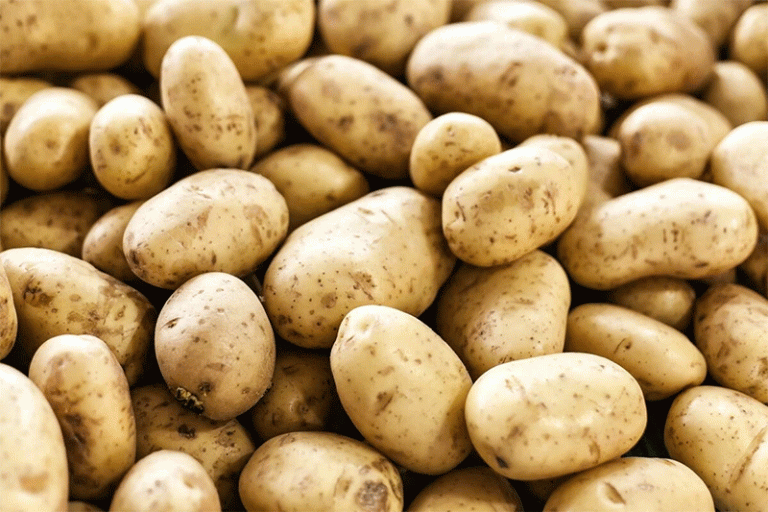 Gujarat’s $126.5 Million Frozen Potato Processing Plant: A Game-Changer for Farmers and India’s Agri-Exports 45 Gujarat’s $126.5 Million Frozen Potato Processing Plant: A Game-Changer for Farmers and India’s Agri-Exports