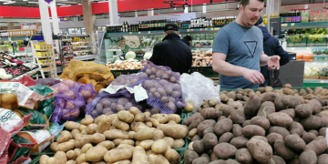 Potato Production in 2025: Rising Harvests, Persistent Challenges, and Market Volatility