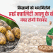 Revolutionizing Potato Farming: Haryana’s Landmark Agreement with International Potato Center to Boost Seed Production