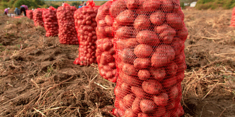 Earning Potential in Seasonal Agricultural Work: Opportunities and Realities for Farmers and Workers