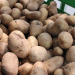 Record Potato Harvests but Hidden Risks: Can Price Stability Last?