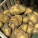 Heatwave Threatens Russia’s Potato and Tomato Harvests: Will Prices Surge?