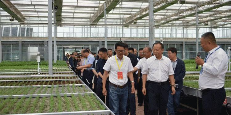 From Seed to Prosperity: How Potato Innovation is Fueling Rural Revitalization in China’s Gansu Province