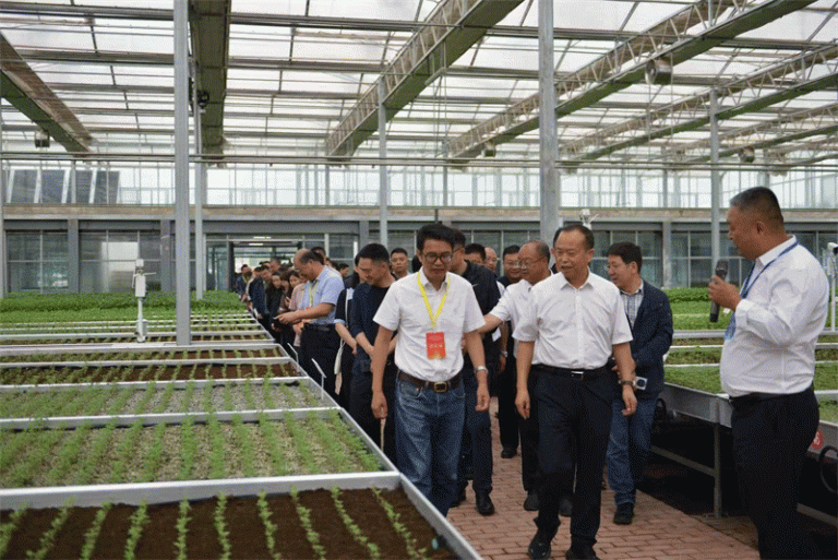 From Seed to Prosperity: How Potato Innovation is Fueling Rural Revitalization in China’s Gansu Province 61 From Seed to Prosperity: How Potato Innovation is Fueling Rural Revitalization in China’s Gansu Province