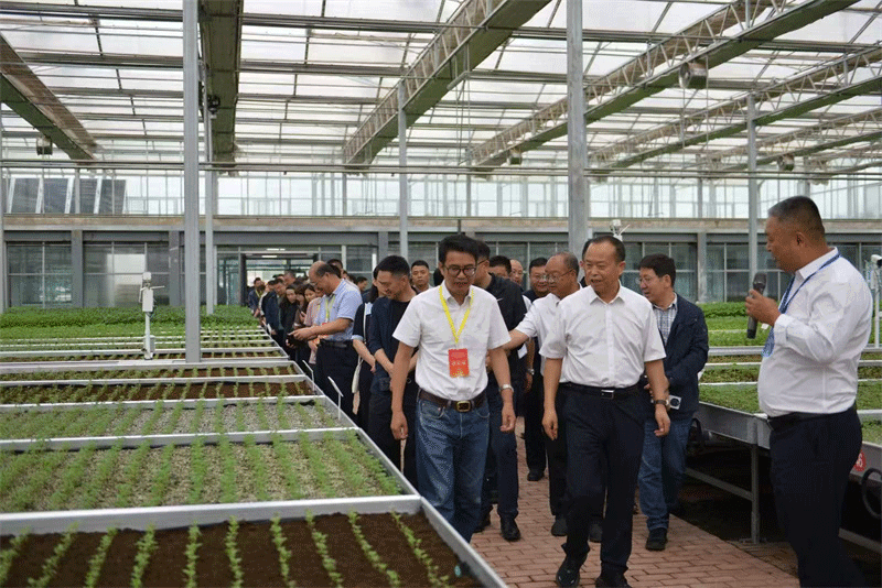 De la semilla a la prosperidad: cómo la innovación en el cultivo de papa impulsa la revitalización rural en la provincia china de Gansu
