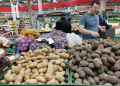 Potato Shortage in Russia: Causes, Solutions, and the Future of Domestic Production