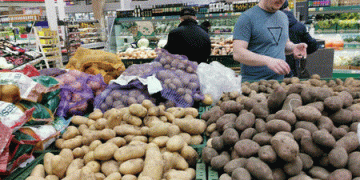 Potato Shortage in Russia: Causes, Solutions, and the Future of Domestic Production