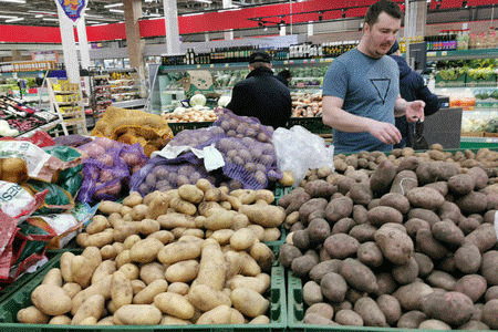 Potato Shortage in Russia: Causes, Solutions, and the Future of Domestic Production