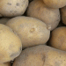 Omsk Region on Track for 320,000-Ton Potato Harvest: Early Start Boosts Optimism