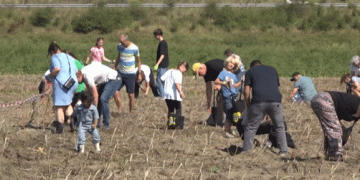 Potato Farming Under Pressure: These Farmers Aim to Turn the Tide