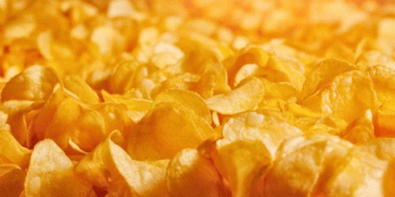 Global Processed Potato Market: Growth Forecast 2025-2029