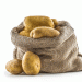 Why Spring Potato Prices Surge in Russia: An Expert View into Supply Chains and Storage Challenges