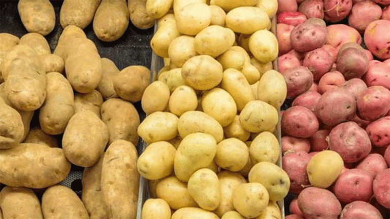 Agristo’s $450M U.S. Potato Processing Plant: A Game-Changer for North Dakota’s Agriculture 46 Agristo’s $450M U.S. Potato Processing Plant: A Game-Changer for North Dakota’s Agriculture