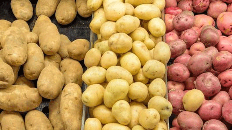 Zakład przetwórstwa ziemniaków w USA firmy Agristo o wartości 450 mln dolarów: przełom w rolnictwie Dakoty Północnej