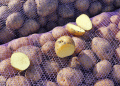 Potatoes: The Resilient Superfood Reclaiming Its Nutritional Prestige