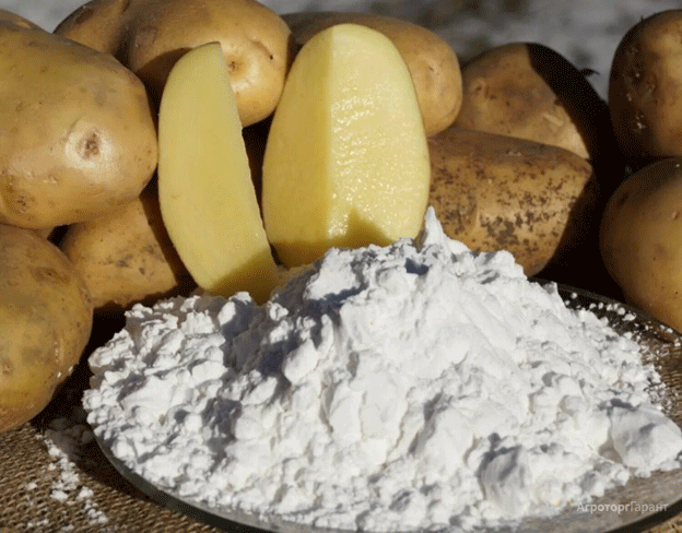 Potato Starch Imports to Grow in 2024 76 Potato Starch Imports to Grow in 2024