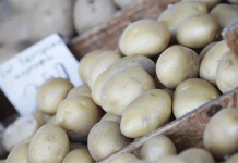 The Bulgarian Potato Paradox: Climate Stress and Market Pressures Squeeze Producers