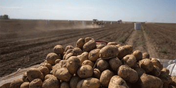 Harvesting Success: How Community Farming Events Boost Engagement and Sustainable Agriculture