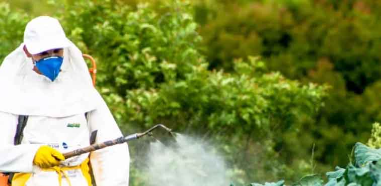 ANSA Launches National Week for Sustainable Pesticide Use in Moldova 38 ANSA Launches National Week for Sustainable Pesticide Use in Moldova