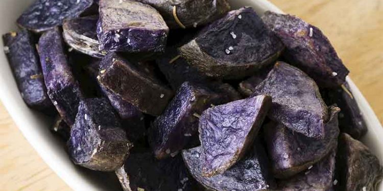 Peru’s Native Blue Potato “Azul Quiti” Gains Traction for Industrial Processing After European Trials