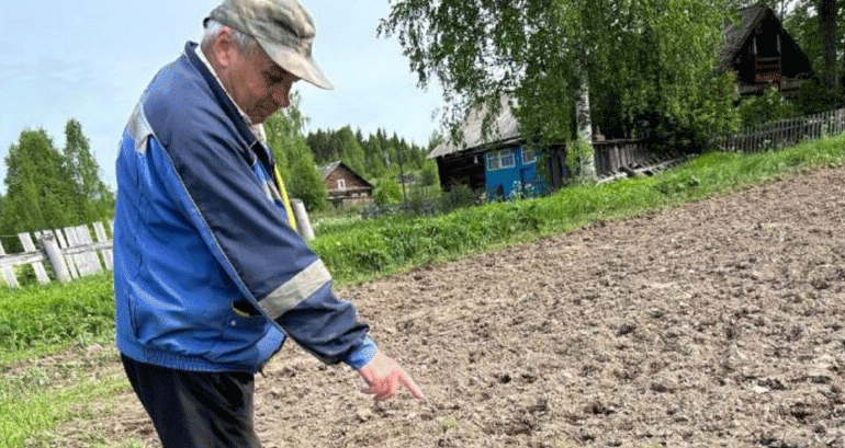 Wild Boar Invasion: A Growing Threat to Farmlands and How to Protect Your Crops
