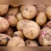 The July Harvest: Unlocking Ultra-Early Potato Production for Summer Delight