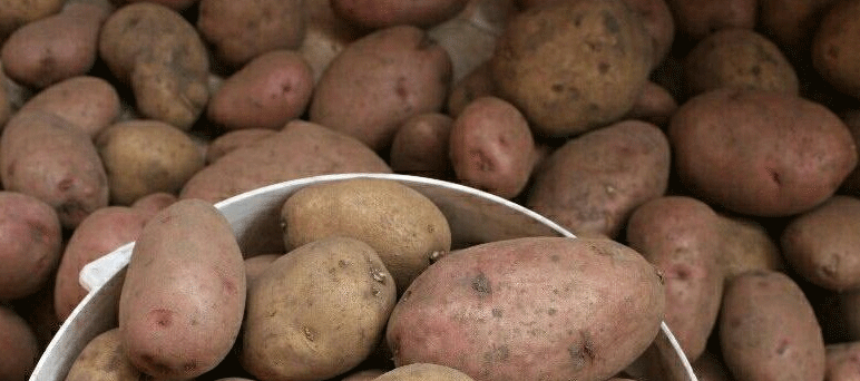 Oltre il limite del 35%: l'aumento dei prezzi nell'Artico russo mette a nudo la fragilità del sistema alimentare