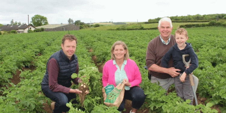 Early Potatoes Defy Weather Challenges: How Innovation Secures Northern Ireland’s Premium Comber Crop