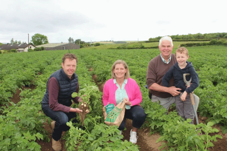 Early Potatoes Defy Weather Challenges: How Innovation Secures Northern Ireland’s Premium Comber Crop