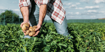 The Organic Transition: A Data-Driven Guide for Farmers and Agronomists