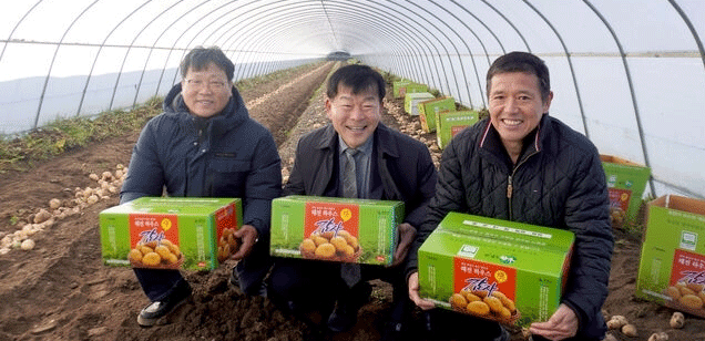 From Watermelon Afterthought to Winter Gold: How a Co-op Built a Climate-Resilient Niche for Potato Farmers