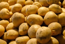 Rosja wstrzymuje import gruzińskich ziemniaków: analiza zmian na rynku i krajowych strategii dostaw