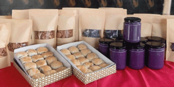 Empowering Farmers: Sweet Potato Processing Training in Tarlac