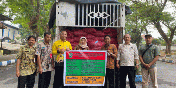 Lumajang Farmers Receive 2.8 Tons of Red Onion Seedlings to Boost Production and Stabilize Prices