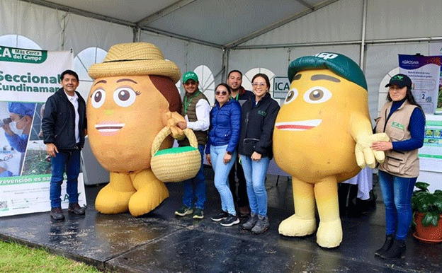 Potato Power: How Colombia’s First National Potato Fair is Transforming Agriculture 46 Potato Power: How Colombia’s First National Potato Fair is Transforming Agriculture