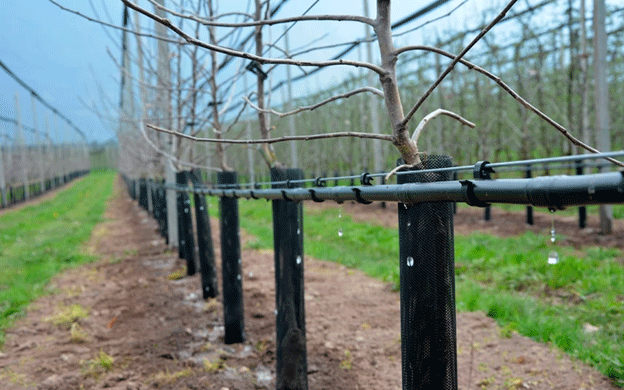 A New Era for Agriculture: The Upcoming Agricultural Machinery and Drip Irrigation Factories in Kabardino-Balkaria