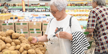 Potato Paradox: Why Amur Farmers Retreat as Chinese Imports Surge 39-Fold