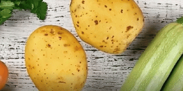 From Waste to Harvest: How Recycled Soil is Revolutionizing Vegetable Farming – 5-Year Study Reveals Promising Results