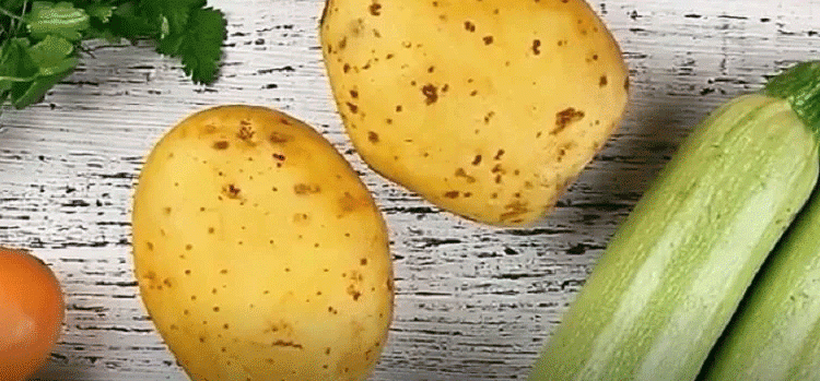 From Waste to Harvest: How Recycled Soil is Revolutionizing Vegetable Farming – 5-Year Study Reveals Promising Results